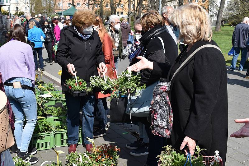 První Zahradnické trhy roku 2021 na výstavišti Flora Olomouc. Sobota 24. dubna 2021