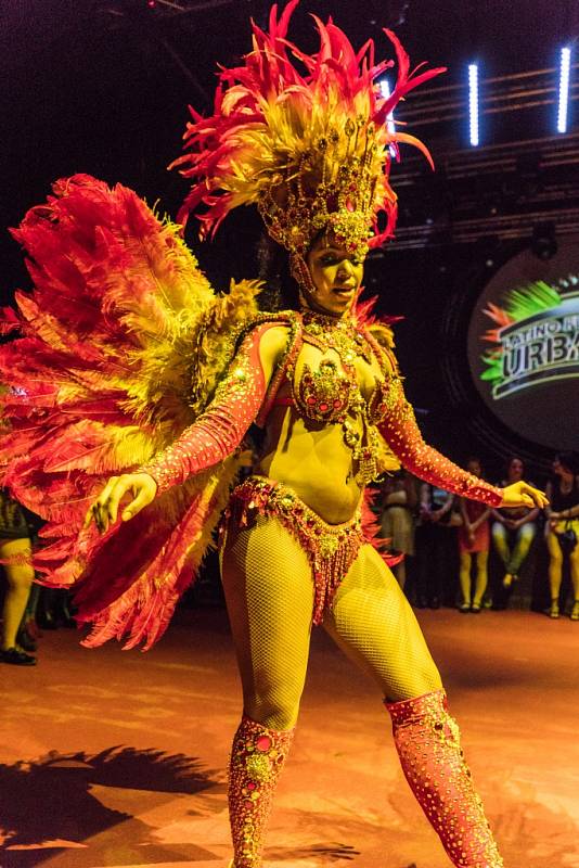 Brazilský karneval, latino show světového formátu s Rodry-Gem, Dj Lazaro se svými karibskými rytmy z Kuby