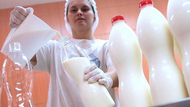 Malých mlékáren za deset let stonásobně přibylo. Jedna i v Lesonicích