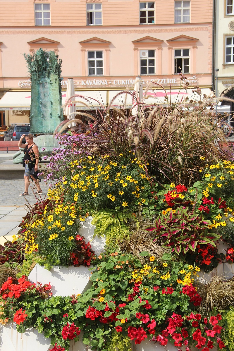 FOTO: Novinka turistické sezony v Olomouci? Projděte si květinovou stezku -  Olomoucký deník