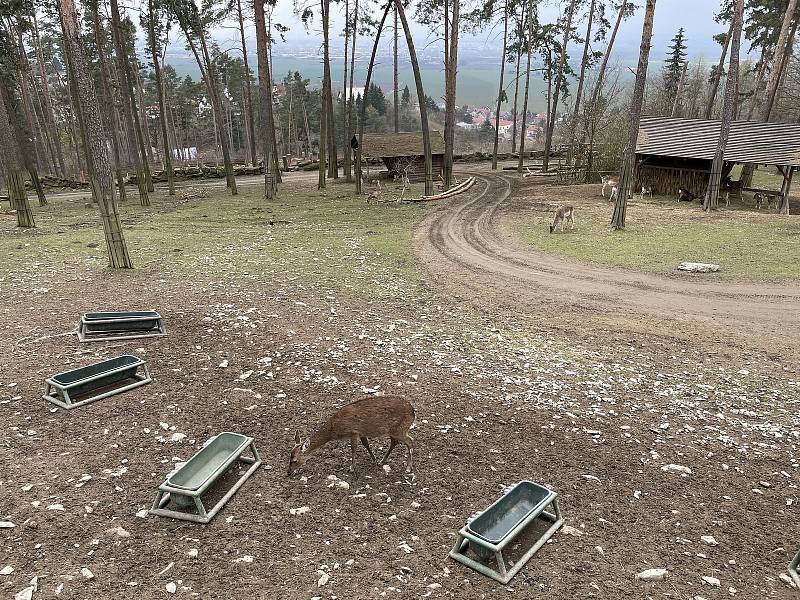 Zoo Olomouc, 18. dubna 2021