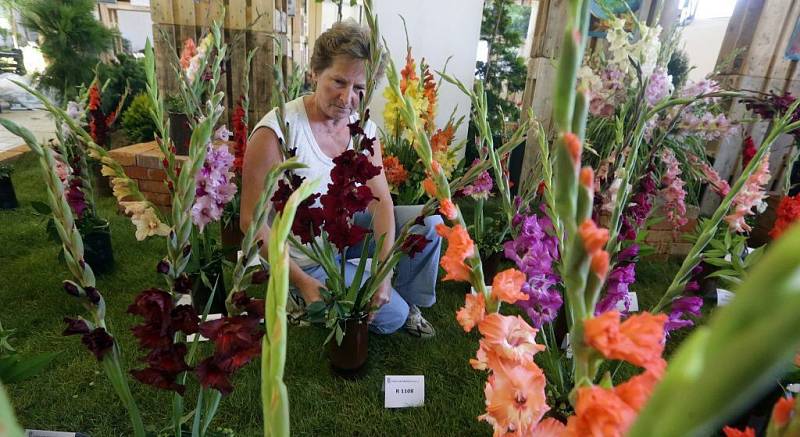 Poslední přípravy na Letní Floru 2013