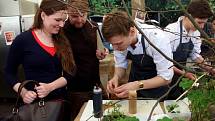 Stovky lidí zaplnily v sobotu Smetanovy sady Výstaviště Flora Olomouc. Přilákal je tam už druhý ročník dobrého jídla a pití Garden Food Festival.