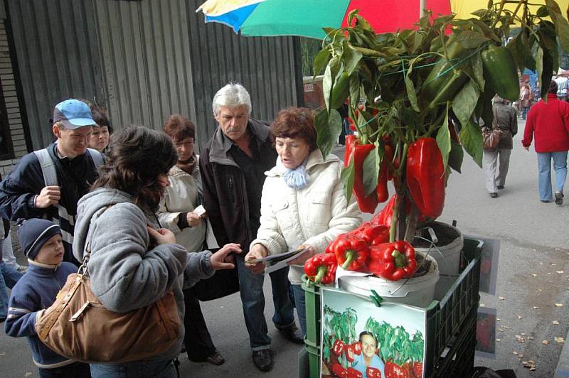 Podzimní Flora Olomouc.