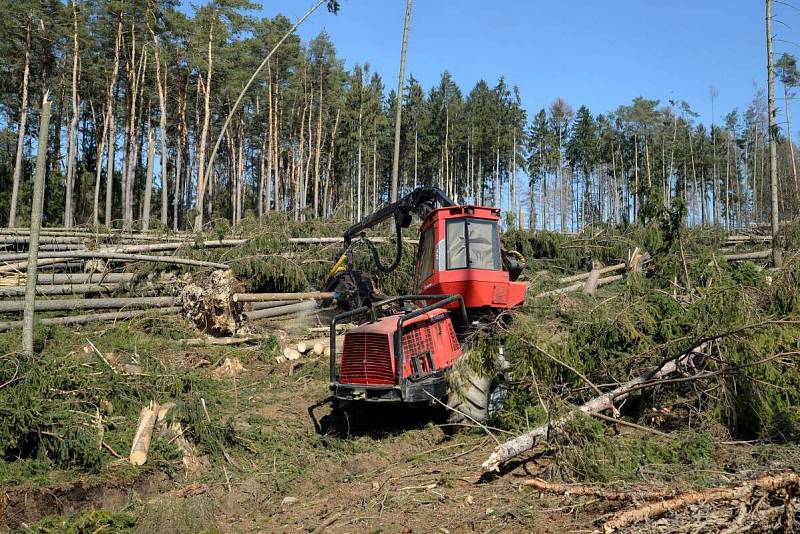 Harvestor pomáhá v olomoucké zoo s úklidem po vichřici. 20.3. 2019