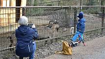 Zoologická zahrada na Svatém Kopečku v Olomouci, 5. 12. 2020