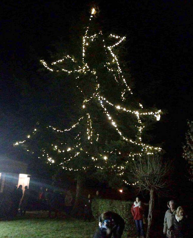 Rozsvěcení vánočního stromu v Mladějovicích