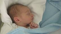 Florian Svačina, Ivaň, narozen 4. května 2020 v Přerově, míra 50cm, váha 3 366 g