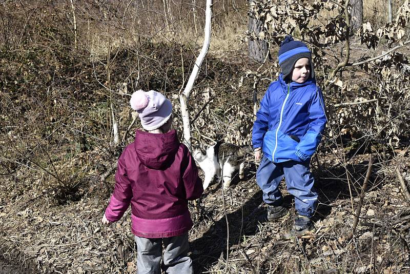 Svatý Kopeček u Olomouce, sobota 6. března 2021