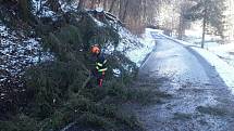 Následky silného větru v Olomouckém kraji, 5. 2. 2020