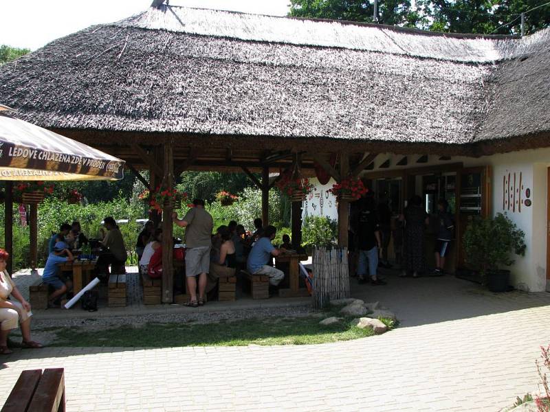 Zoo Zlín-Lešná: občerstvení