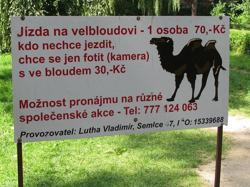 Zoo Zlín-Lešná: poutač na projížďku na velbloudovi