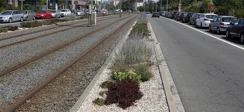 Veřejná zeleň podél tramvajového pásu a  prostoru mezi paneláky na třídě Kosmonautů.