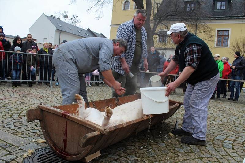 Zabijačka je součástí Masopustu