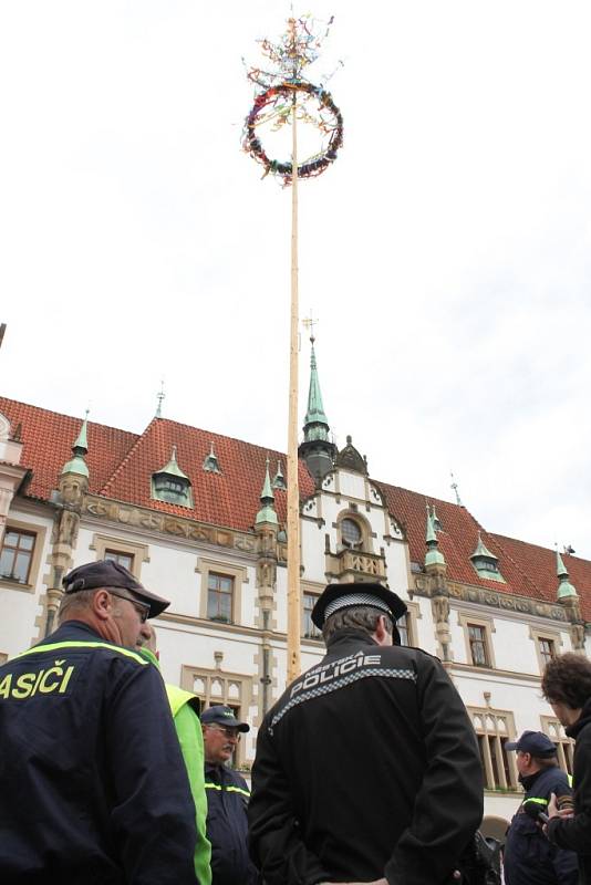 Kácení májky na Horním náměstí v Olomouci