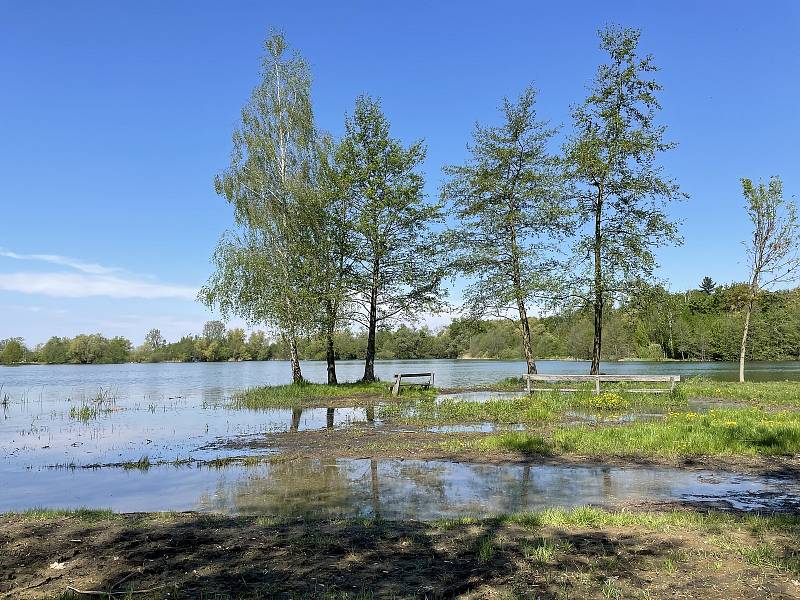 Hladina vody na olomouckých Poděbradech se zvedla až o 1,5 metru, 12. května 2021