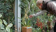 Sbírkové skleníky s výstavou orchidejí