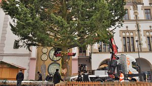 18.11.2018. Vánoční strom dorazil na Horní náměstí v Olomouci
