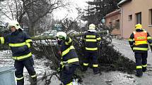 Dolany. Neděle 18. března 2018. Následky silného větru