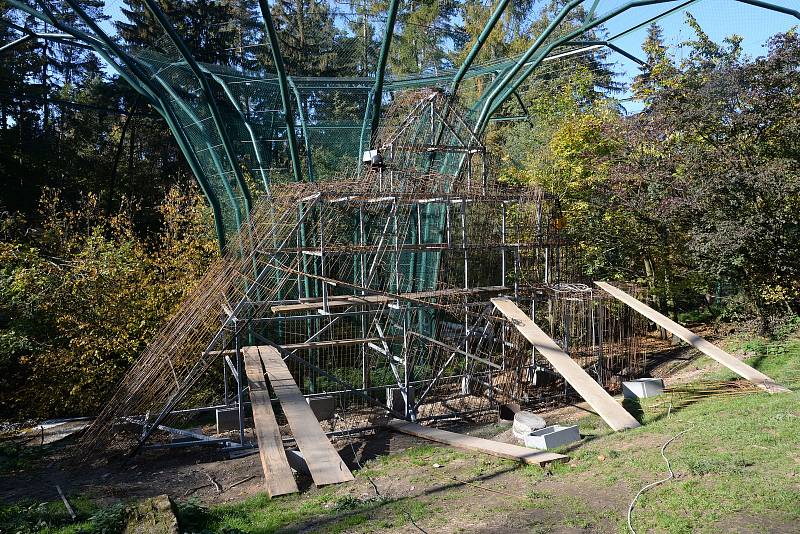 Olomoucká zoo dokončuje atraktivní novinku - průchozí ptačí voliéru. Ta prošla rekonstrukcí a nyní se ještě čeká na výstavbu zimoviště a cesty pro návštěvníky.