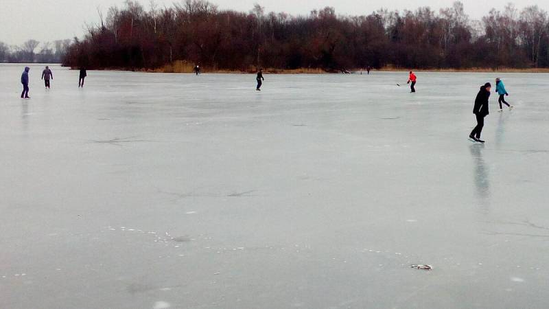 Poděbrady 27. února 2018. Silné mrazy sevřely i větší část jezera. Ze severní strany dosahuje led až ke břehu, čehož využívají desítky bruslařů