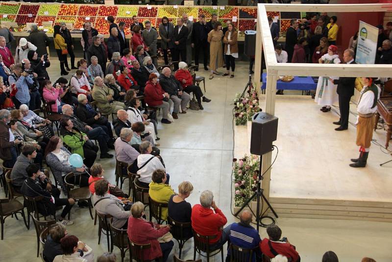 Podzimní Flora Olomouc 2019