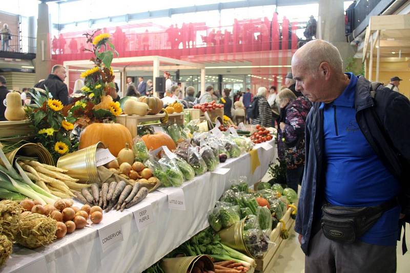 Podzimní Flora Olomouc 2019