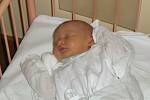 Iva Šimoníková, narozená 22.11. 2007 v Olomouci, váha: 2730 g, míra: 49 cm, Olomouc