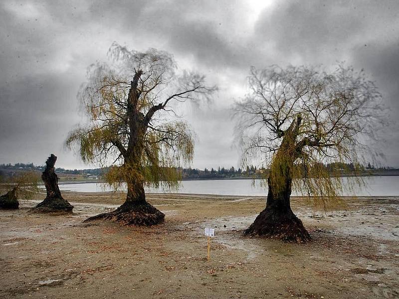 Polovypuštěná plumlovská přehrada