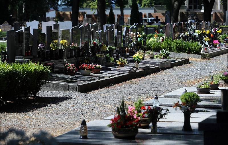 Městský hřbitov ve Šternberku.
