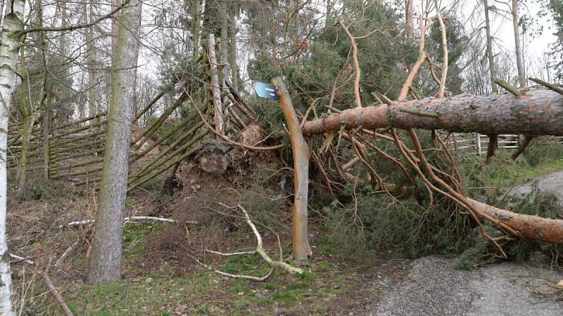 Následky vichru z 10. na 11. 3. 2019 v olomoucké zoo. Výběh sobů