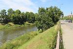 Okolí řeky Moravy mezi mostem v Komenského a Klášterním Hradiskem v Olomouci změní III. etapa protipovodňových opatření