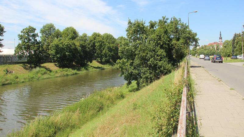 Řeka Morava mezi mostem v Komenského a Klášterním Hradiskem v Olomouci