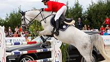 Ján Cigán (SK) a Corneta. Světový pohár v jezdeckém areálu Equine Sport Centre v Olomouci