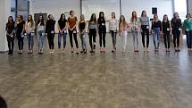 Casting MissOK 2017