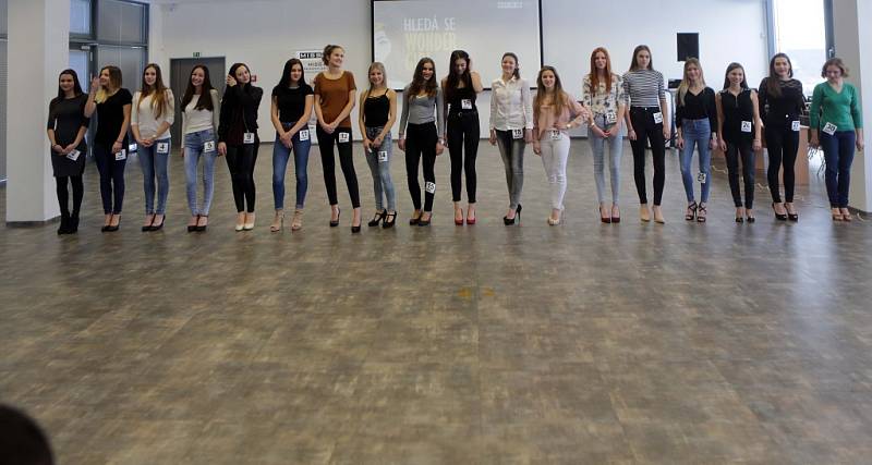 Casting MissOK 2017