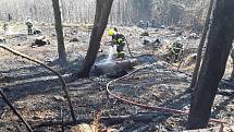 Hasiči během pondělí 6. dubna likvidovali požáry na devíti místech Olomouckého kraje. Požár u Dětřichova.