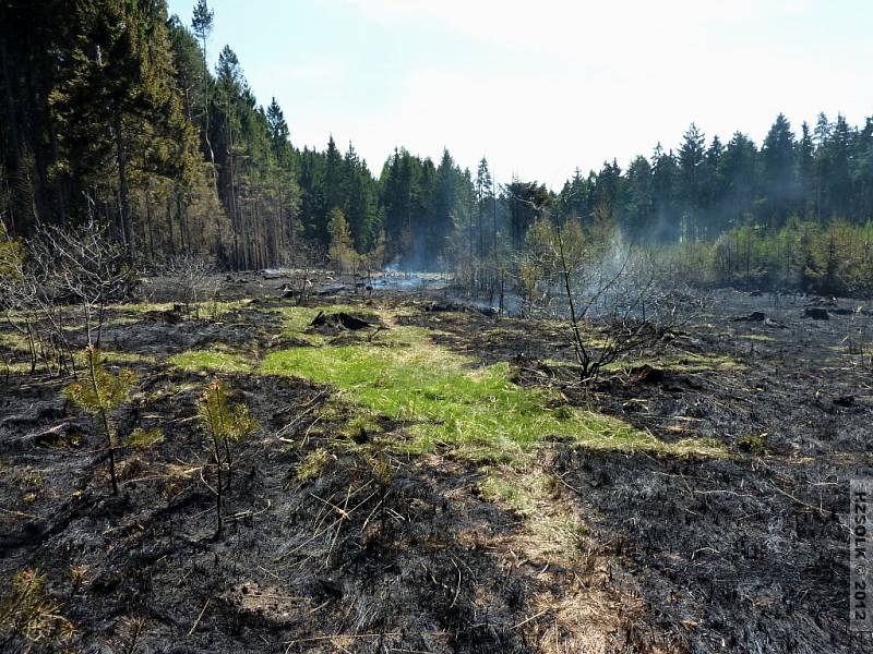 Požár lesa u Vilémova - neděle 29. 4. 2012