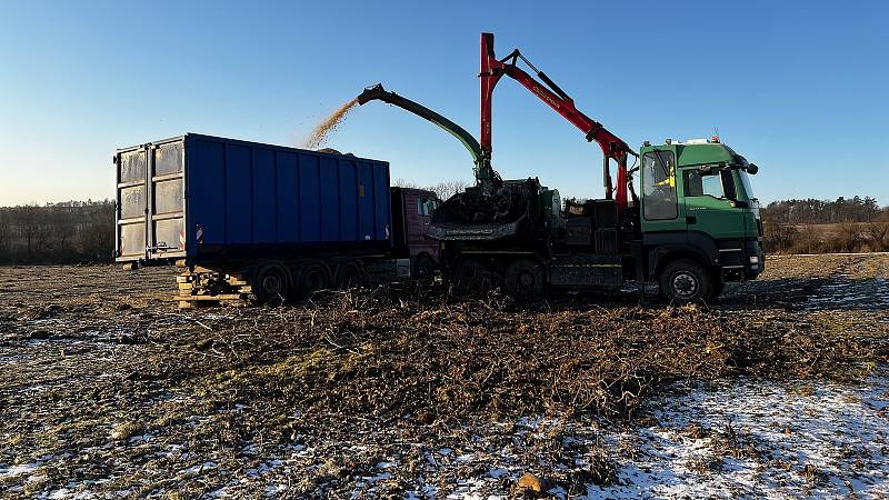 Sadaři ve Vilémově vykáceli téměř 16 hektarů jabloní, 7. února 2023.