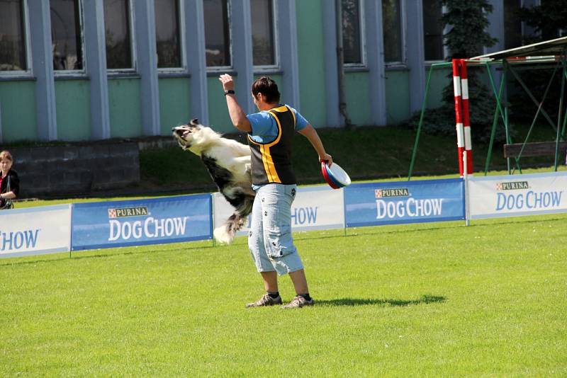 To nejlepší z Dogfrisbee jde o víkendu k vidění v Olomouci
