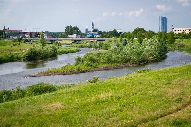 Nová podoba řeky Moravy na jihu Olomouce soutěží v Adapterra Awards 2019. Klání pořádá Nadace Partnerství. Hledá projekty, které pomáhají přizpůsobit města, domy a krajinu změnám klimatu.