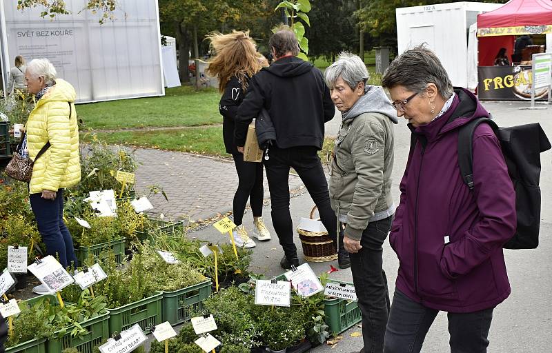 Olomoucká Flora nabídla rozmanitost podzimních barev. 1.10. 2022