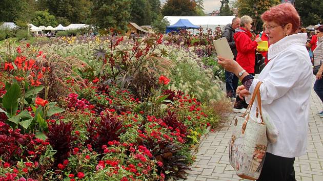 Podzimní Flora Olomouc 2019