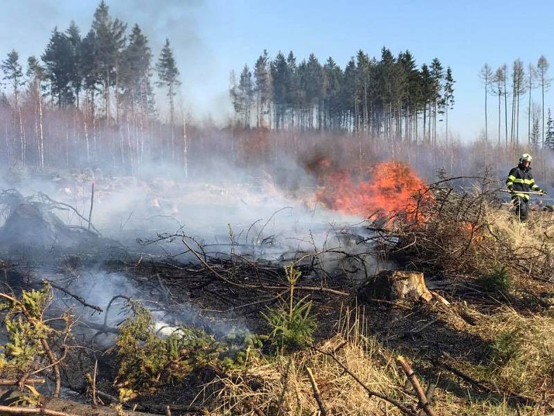 Hasiči v Olomouckém kraji v sobotu zasahovali u desítek požárů v přírodě.