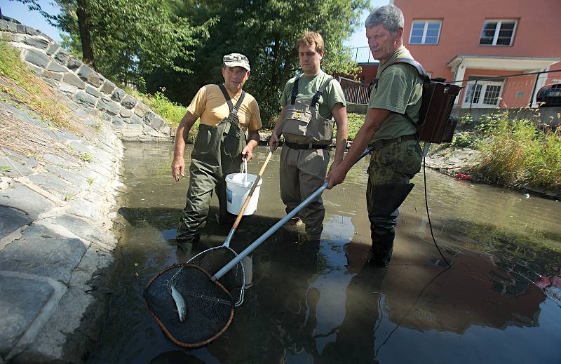 Rybáři zachraňují rybí osádku z téměř vyschlého Trusovického potoka.