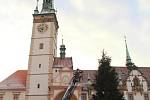 Kácení vánočního stromu na Horním náměstí v Olomouci