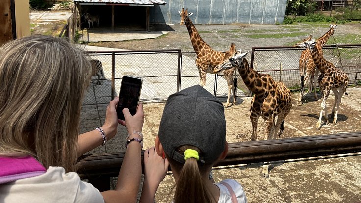 Zoo Olomouc. Ilustrační foto