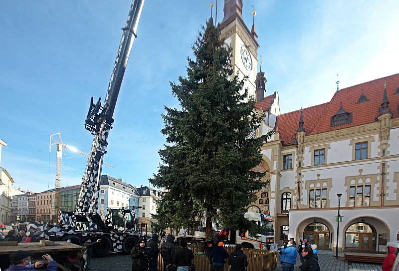 Vánoční strom pro Olomouc - příjezd a instalace na Horním náměstí - 22. listopadu 2020