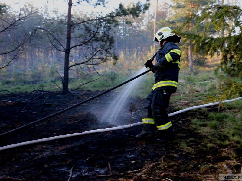 Likvidace požáru lesa v Náměšti na Hané