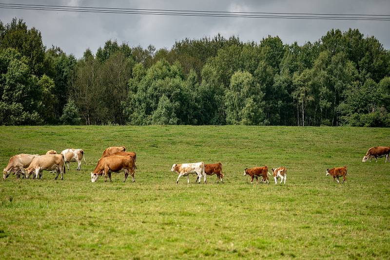 Akce Bílý kámen ve Vojenském prostoru Libavá. 28. srpna 2021.